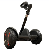 Мини-сигвей Wolong Mini Robot 54V